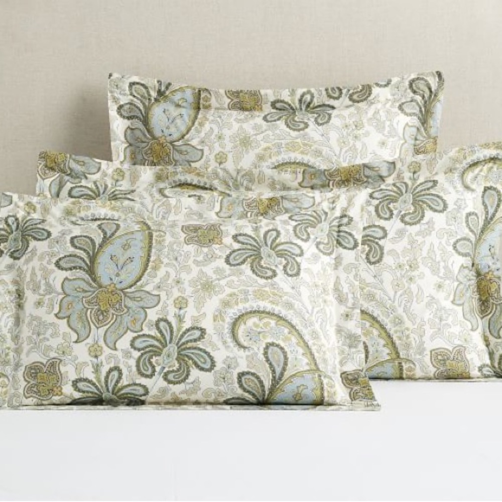 Two (2) Pottery Barn Charlie Paisley standard shams. (20 x 26)